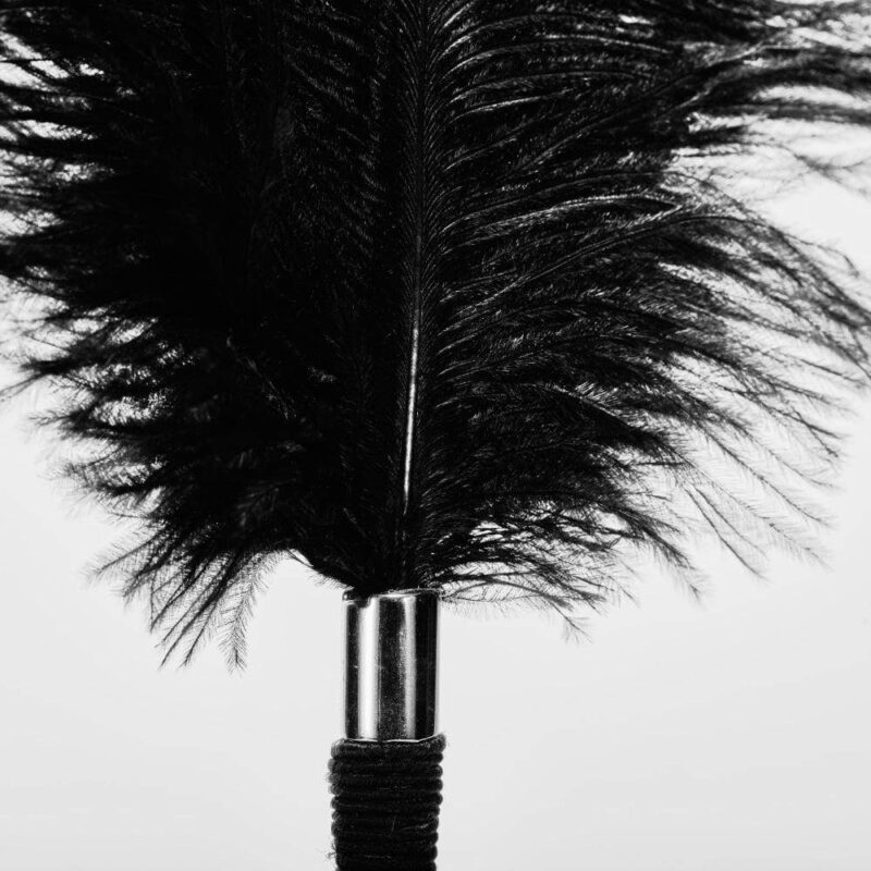 ROOMFUN Ostrich Feather Flirting Adult Couple Sex Toy - Image 4