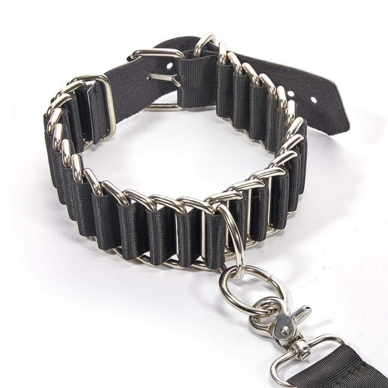 ROOMFUN Interlocking Nylon Traction Collar - Image 2