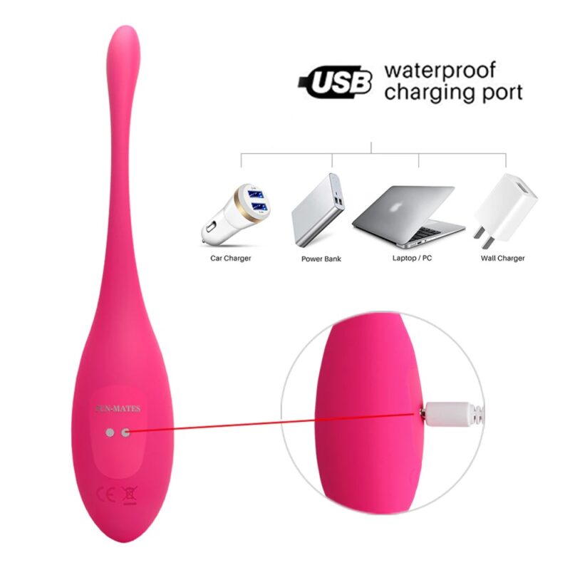 LEVETT Wireless APP Control Vibrating Egg G-spot Stimulator - Image 7