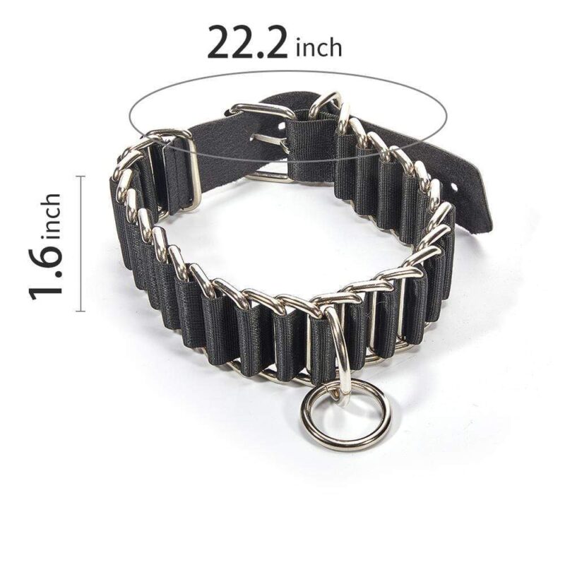 ROOMFUN Interlocking Nylon Traction Collar - Image 4